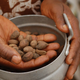 Illustration for article titled Unused Forest Foods Could Help Solve the Global Hunger Crisis